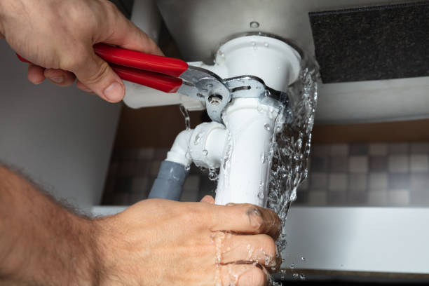 Best Mold removal after water damage  in Appleton City, MO