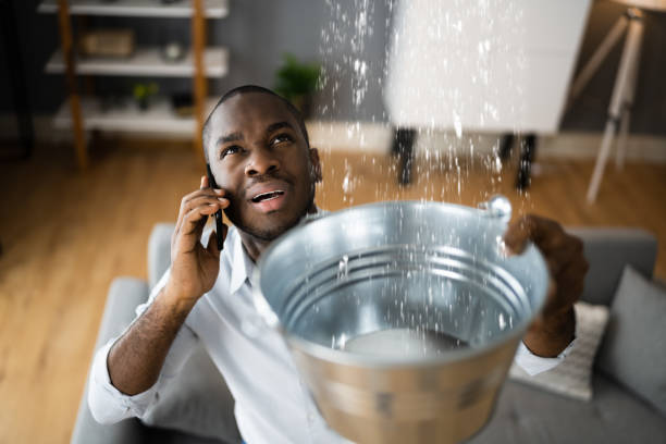 Best Flood restoration services  in Appleton City, MO