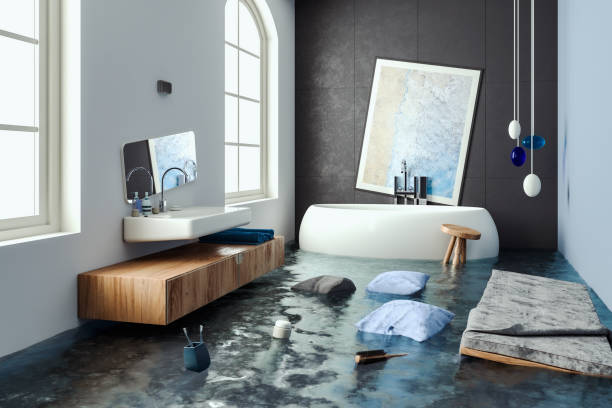 Best Flood damage cleanup  in Appleton City, MO