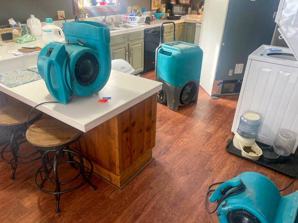 Best Ceiling water damage repair  in Appleton City, MO