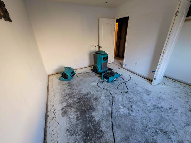 Trusted Appleton City, MO Water damage restoration Experts