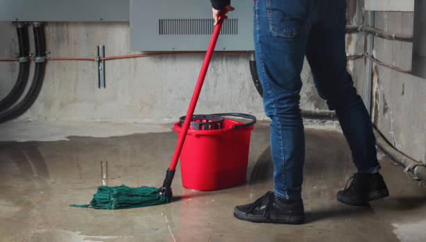 Best Residential water damage restoration  in Appleton City, MO