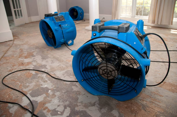 Best 24-hour water damage restoration  in Appleton City, MO