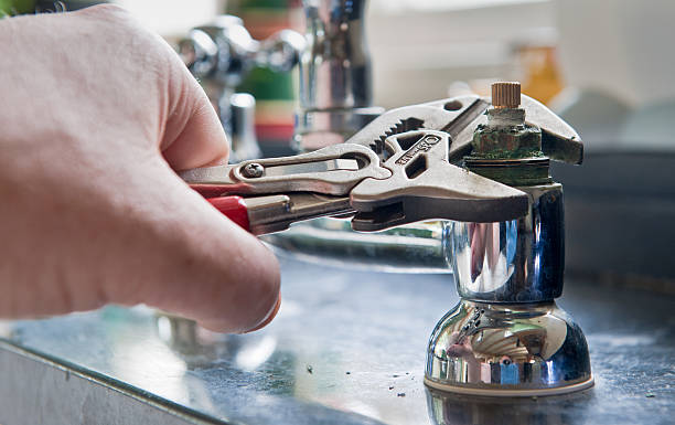 Best Local water damage restoration  in Appleton City, MO