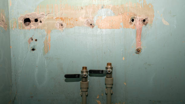 Best Basement water damage restoration  in Appleton City, MO