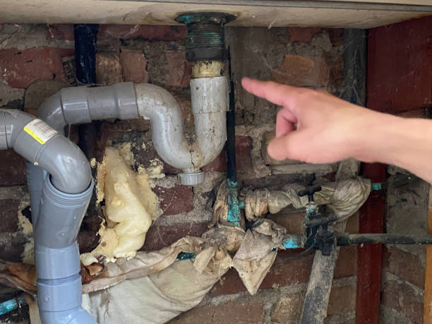 Best Carpet water damage restoration  in Appleton City, MO
