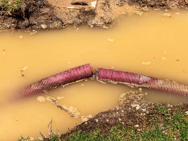  Appleton City, MO Water damage restoration Pros