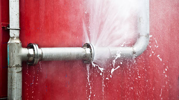 Best Fire Damage Restoration  in Appleton City, MO